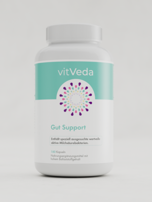 Gut Support Kapseln